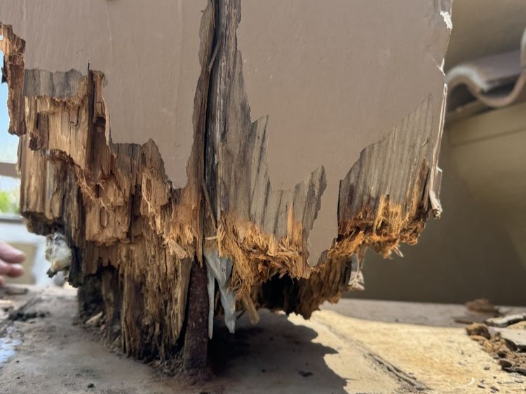 MR. TAPIA LANDSCAPING